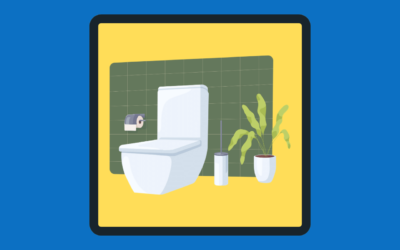 Best Bathroom Plants – Best Sellers