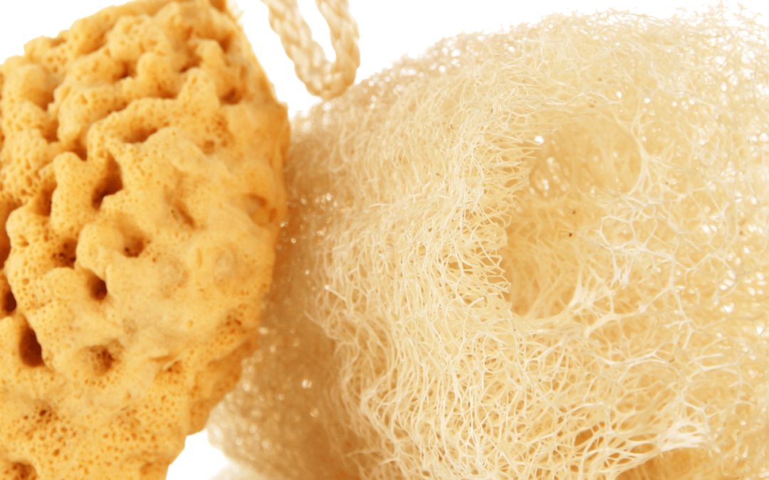 Best Loofah Sponges