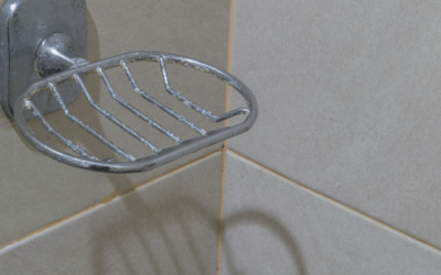 Shower Soap Holder – Best Sellers