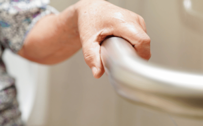 Toilet Grab Bars – Best Sellers
