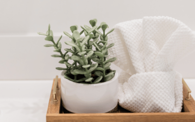 Men’s Bathroom Decor – Best Sellers